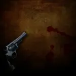 magnum 357 preto