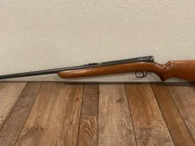Winchester 22 rifles