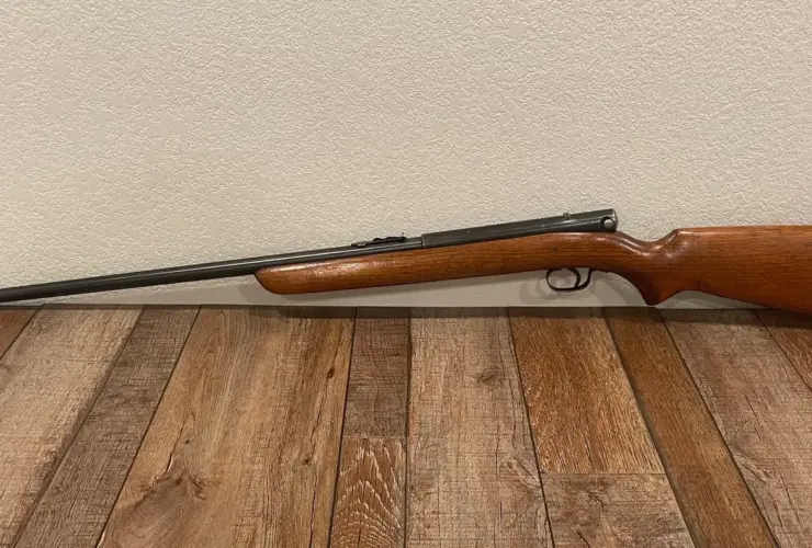 Winchester 22 rifles