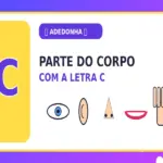 Parte do Corpo com C: Partes do Corpo com C para Responder na Adedonha