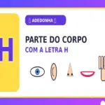 Parte do Corpo com H: Todas as Partes do Corpo com a Letra H