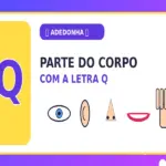 Parte do Corpo com Q: Parte do Corpo com Q – Exemplos e Curiosidades