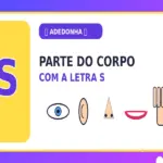 Parte do Corpo com S: Nomes de Partes do Corpo com S para Adedonha