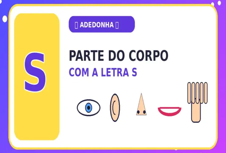 Parte do Corpo com S: Nomes de Partes do Corpo com S para Adedonha 30 Parte do Corpo com S: Nomes de Partes do Corpo com S para Adedonha