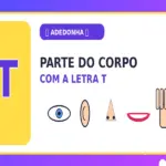 Parte do Corpo com T: Partes do Corpo com T em Ordem Alfabética