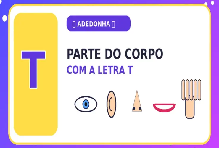 Parte do Corpo com T: Partes do Corpo com T em Ordem Alfabética
