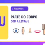 Parte do Corpo com U: Quais São as Partes do Corpo com U?