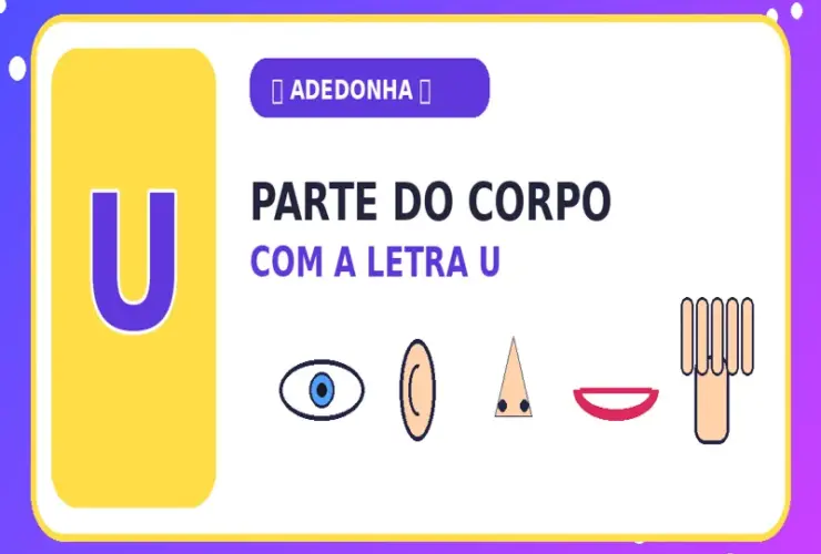 Parte do Corpo com U: Quais São as Partes do Corpo com U?