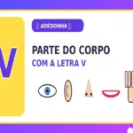 Parte do Corpo com V: Partes do Corpo com V para Jogos como Stop