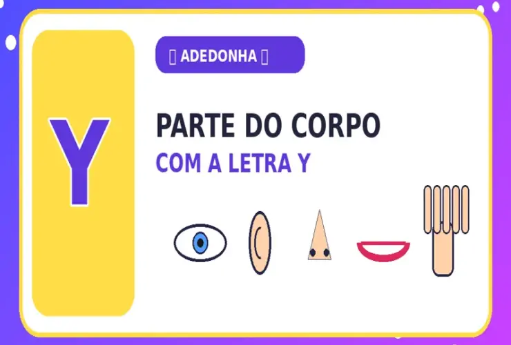 Parte do Corpo com Y: Partes do Corpo com Y que Pouca Gente Conhece
